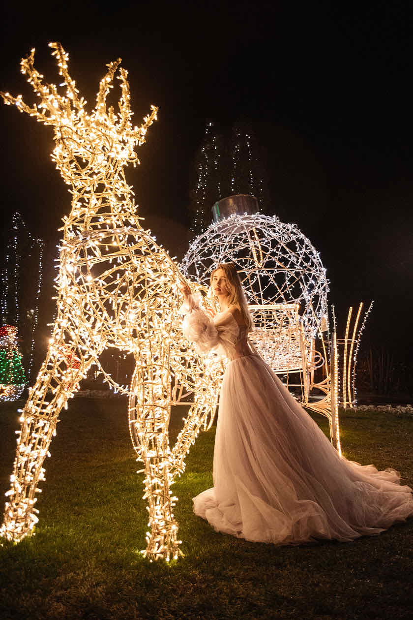 Woman in a blush tulle gown beside a glowing reindeer light sculpture at night